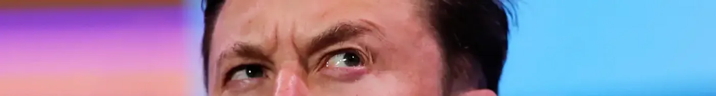 Elon Musk Paypal