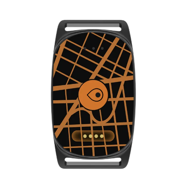 Eview EV-201M pet gps collar