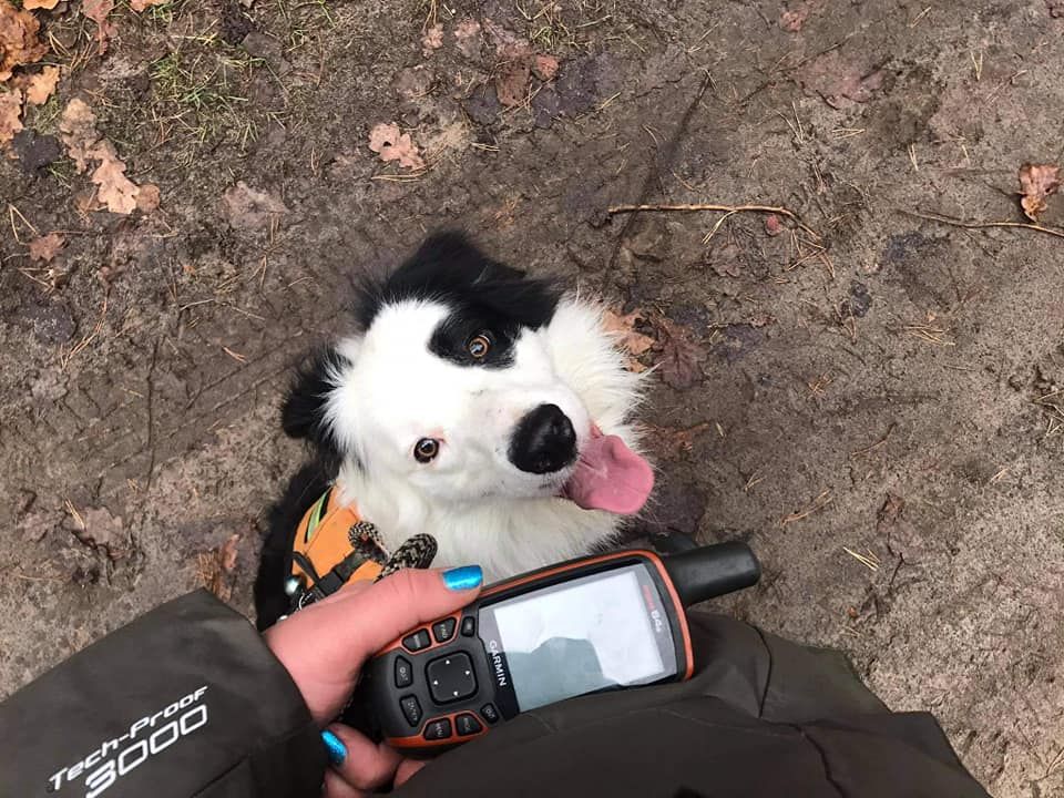 Gps and Dog